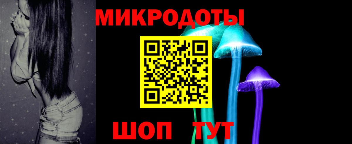 Ессентуки  Псилоцибиновые грибы Psilocybine cubensis  Вход с VPN 