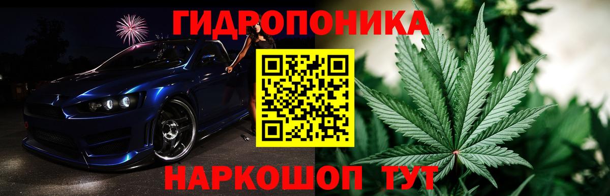 Канабис сатива Ессентуки