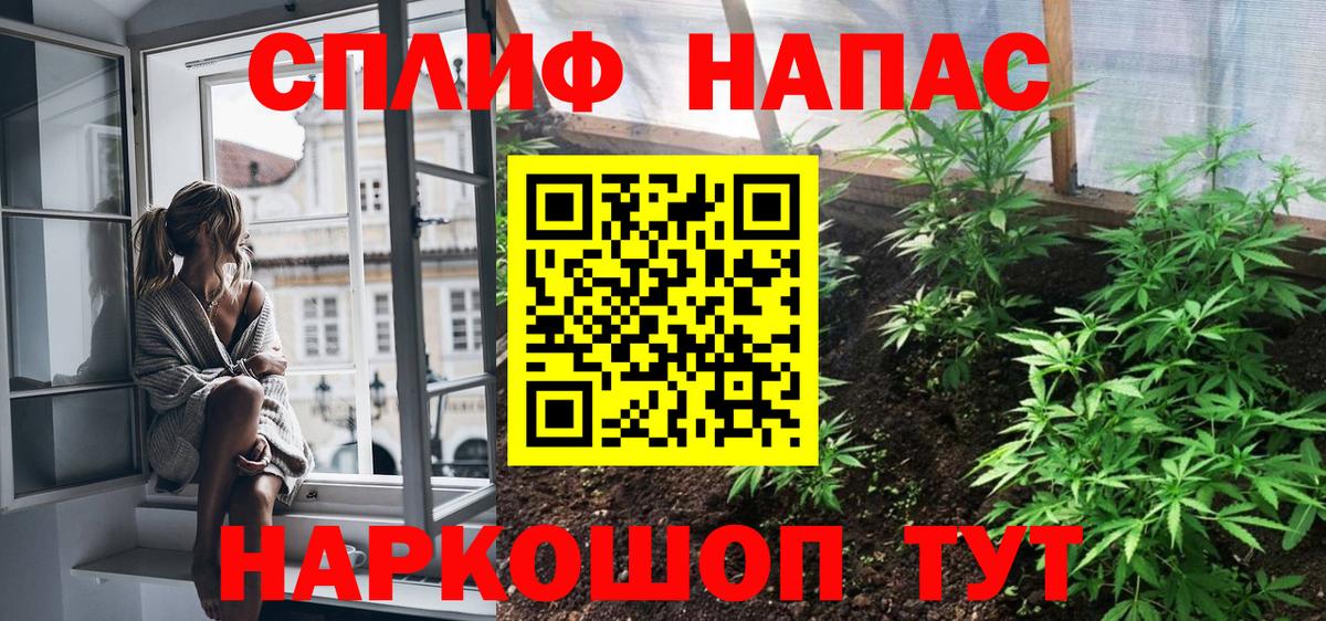 Шишки марихуана семена  Бошки Шишки SATIVA & INDICA  Вход с VPN  Ессентуки 